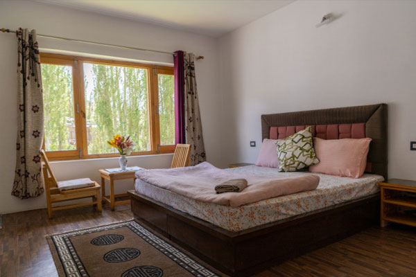 Suite Room